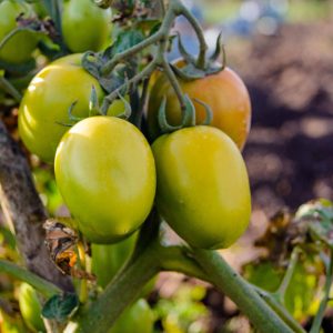 Rick Mwaniki Photography-3283